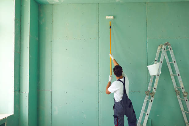 Best Biohazard Mold Removal  in Limon, CO