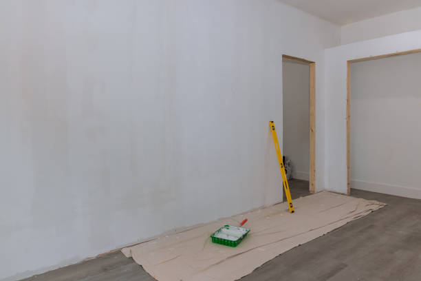 Best Asbestos and Lead Testing During Mold Inspection  in Limon, CO